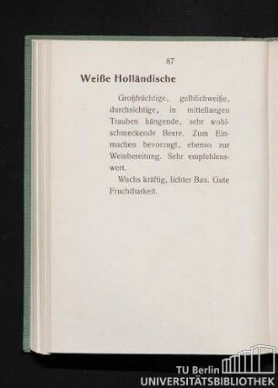 Weiße Holländische.