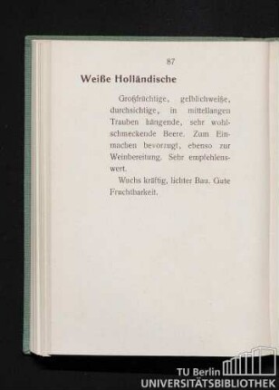 Weiße Holländische.