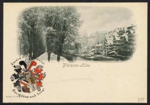 317, Platanen-Allee. Suevia sei's Panier!
