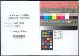Entnazifizierung Robert Ludwigs , geb. 10.03.1897 (Kaufmann)