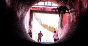 Born to Skate