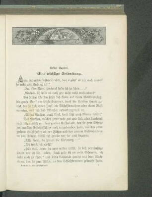 Erstes Kapitel. Eine wichtige Entdeckung.