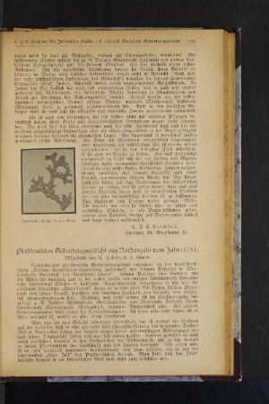 Isländische Flechte