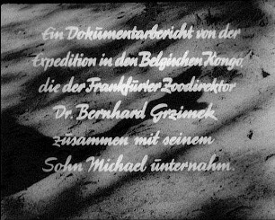 Ein Fabeltier fliegt nach Deutschland