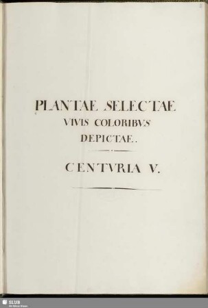5: Plantae selectae vivis coloribus depictae. Band 5 - Mscr.Dresd.App.3413,Bd.5