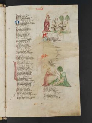 Schöpfung der Tiere und Adams, Erschaffung Evas