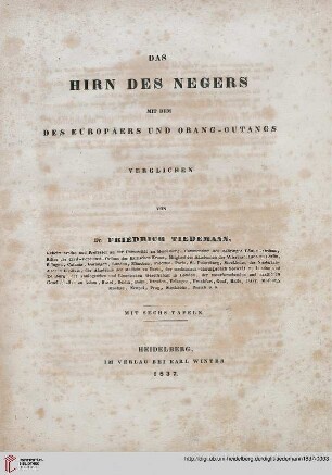 Das Hirn des Negers mit dem des Europäers und Orang-Outangs verglichen : Mit sechs Tafeln