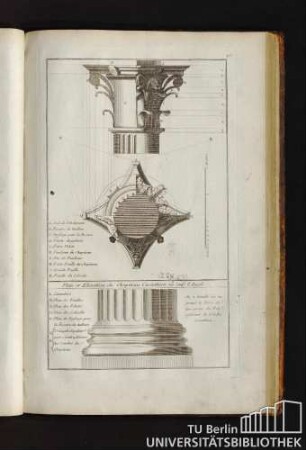 40. Plan et Elevation du Chapiteau Corinthien ou sur l'Angle.