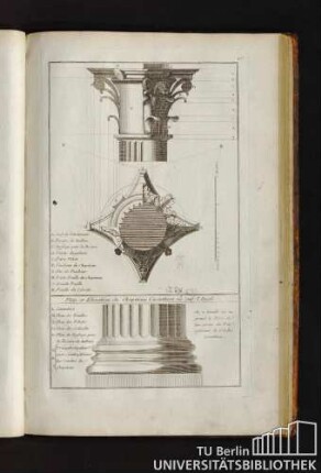 40. Plan et Elevation du Chapiteau Corinthien ou sur l'Angle.