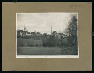241, Höfingen. (Nr. 3271).