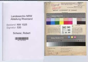 Entnazifizierung Robert Scherer , geb. 12.04.1900 (Ingenieur)