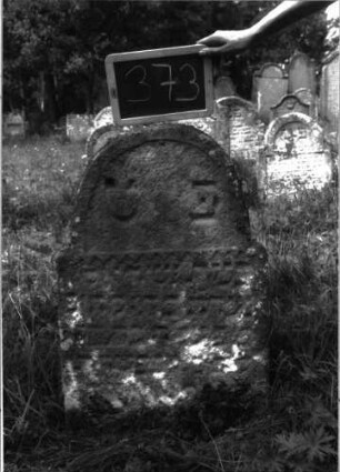Grabstein 373 (Index: 100102873) Material: Sandstein Zustand: stark verwittert, eingesunken, weitgehender Textverlust Maße HxBxT: 84x52x9 cm Beschreibung: Stele, eingezogener Rundbogenabschluss, Schriftfeld eingetieft, Bogen schließt nach unten mit Zackenfries ab Symbolik: Zackenfries: Grabstein 373