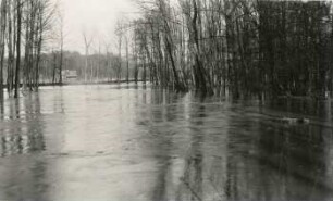 Elster-Luppe Regulierung, 19. Februar 1935 : Hochwasserüberflutung im Kanitzsch, Blick auf Schlobachs Hof