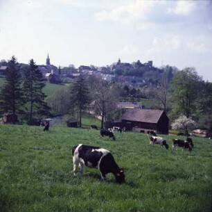 Erzgebirge. Frauenstein : Erzgebirge. Frauenstein mit Schloss und Burgruine