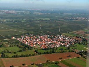 Venningen (Pfalz)