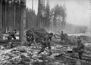Holzfäller bei der Arbeit : Steinbach im Erzgebirge. Im Holzschlag. Förster mit Kluppe