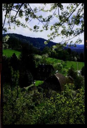 Freiburg: Frühling an der Eichhalde [Hebsackgut]