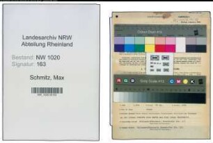 Entnazifizierung Max Schmitz , geb. 03.01.1893 (Desinfektor)