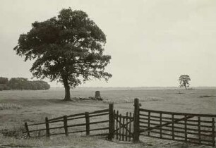 Teufelsmoor nördlich von Bremen. Blick über das Moor