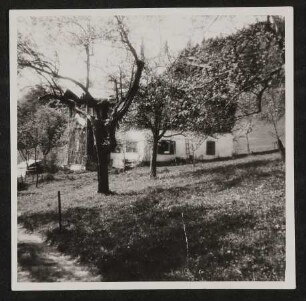 Hofmannsthals Sommerfrische-Aufenthalt, Haus in Aussee, Obertressen 6, hinter Bäumen vom Weg aus