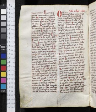 In octava nativit. Iohannis Baptistae