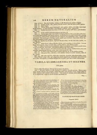 Tabula Quadragesima Et Secunda. [bis] Tabula Quinquagesima.
