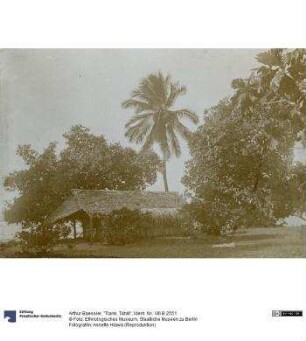 "Tiarei, Tahiti"