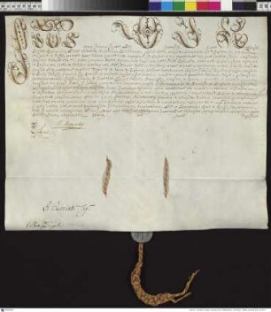 Aussteller: Pius VI. Empfänger: Ignacy Antoni Raczynski. Betreff: Erhebung zum Bischof von Posen (kleine Ausfertigung).