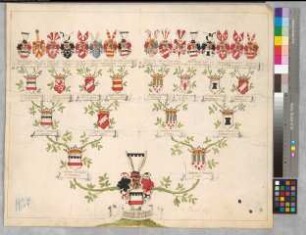 Proband: Westphalen, Heinrich Dietrich von; Vater: Westphalen, Wilhelm von; Mutter: Brenken, Catharina von: Minden, Domkapitel