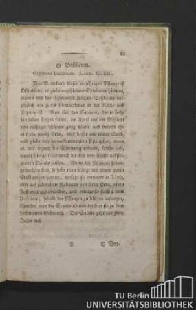 Basilicum. Ocymum basilicum. Linn. Cl. XIII.