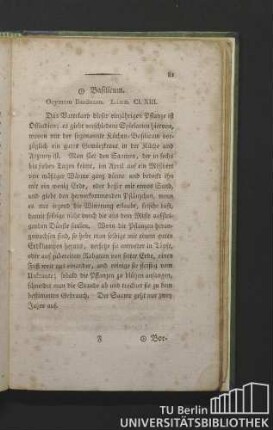 Basilicum. Ocymum basilicum. Linn. Cl. XIII.