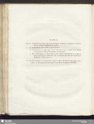 Plate II