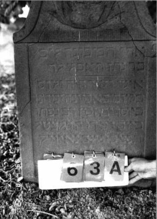 Grabstein 63 (Index: 99798202) Material: Sandstein, rot Zustand: stark verwittert Maße HxBxT: 87x56x13 cm Beschreibung: Stele, geschweifter Abschluß Symbolik: Palmblatt: Grabstein 63A (Detailaufnahme 2)