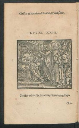 Lucae. XXIII.