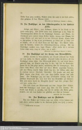 30. Der Nachtjäger und die Walddiebe