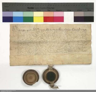 Lehenbrief Joachims [von Gravenegg], Abt von Fulda, für Katharina Apollonia von Bommersheim über den fuldischen Hof in Bommersheim und weitere im Einzelnen aufgeführte Lehen
