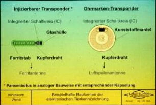 Beispielhafte Bauformen der elektronischen Tierkennzeichnung