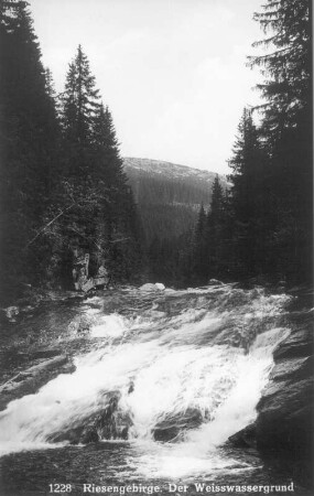 Weißwassergrund. Blick talaufwärts : Riesengebirge. Weißwassergrund. Blick talaufwärts