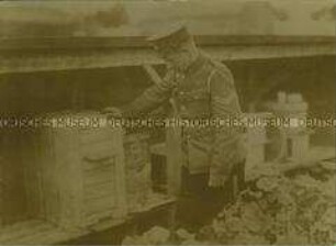 Britischer Soldat bei der Bienenzucht in einem deutschen Gefangenenlager