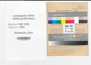 Entnazifizierung Dina Bauknecht , geb. 16.06.1921 (Sekretaerin)