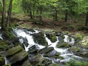 Selketal im Harz : Wasserfall des Flusses Selke. Aufgenommen im Selketal im Harz 2004