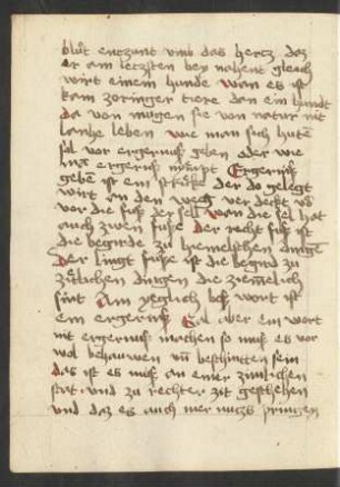 Harfe 17 (Auszug)