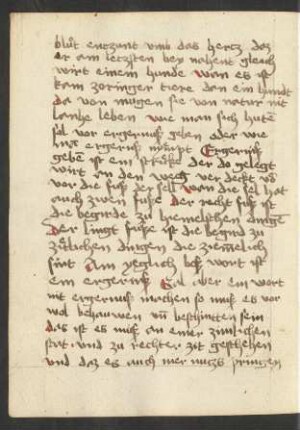 Harfe 17 (Auszug)