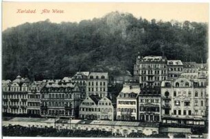 Karlsbad. Alte Wiese mit Hirschensprung über Hotel Metropole