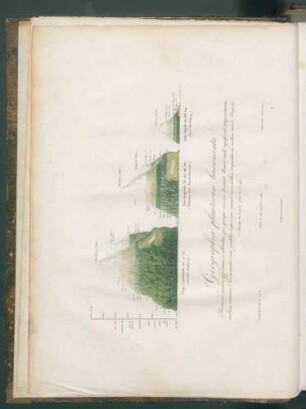Voyage de Humboldt et Bonpland 6.P. Botanique,1: Nova genera et species plantarum quas in peregrinatione ad plagam aequinoctialem orbis novi collegerunt descripserunt, partim adumbraverunt Amat. Bonpland et Alex. de Humboldt. / Ex schedis autographis Amati Bonplandi in ordinem digessit Carol. Sigismund Kunth. - Accedunt tabulae aeri incisae, et Alexandri de Humboldt notationes geographiam plantarum spectantes. -