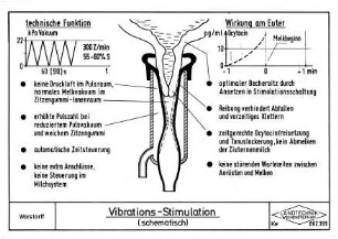 Vibrations-Stimulation (schematisch)