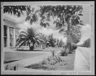 Southern. A Residence Street in Southern California