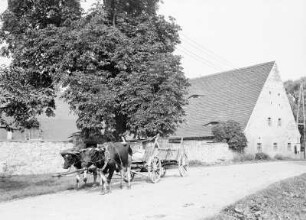Alte Schäferei