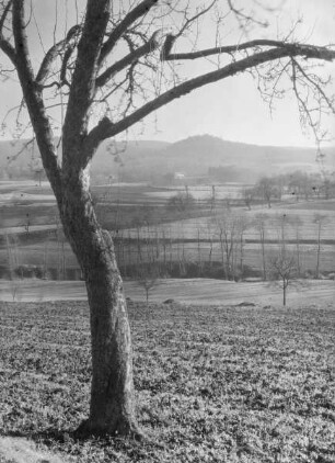 Burgruine Steckelberg