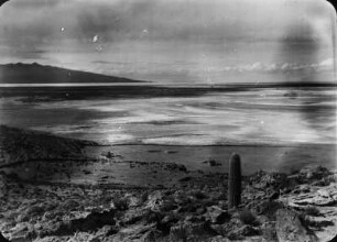 Salar de Coipasa : Blick über den Salar de Coipasa. Links ist der Cerro de Coipasa zu sehen.